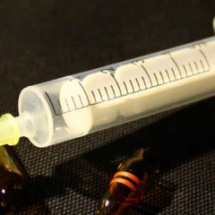 Testeur de Medicament : de l’Argent mais des Effets Secondaires