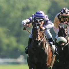 Le Guide Complet Pour Gagner aux Paris Sportifs