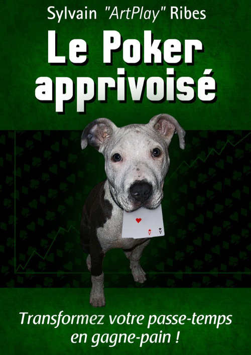 Sylvain Ribes Artplay le livre et sa couverture
