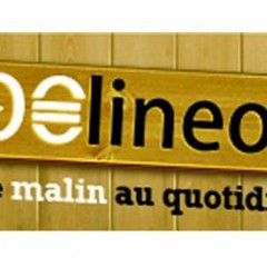 Moolineo – Avis : Comment j’ai gagné 23 euros en un mois en lisant des emails.