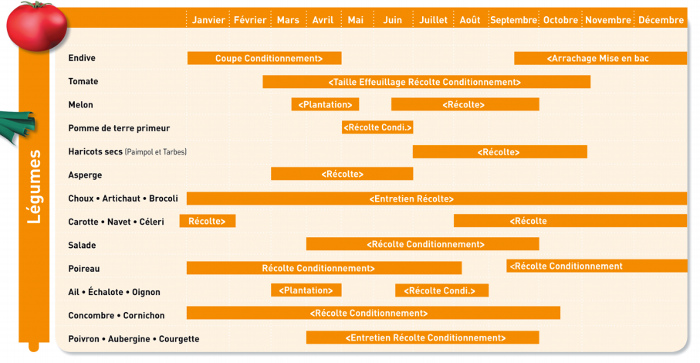 Calendrier des activités de l'ANEFA