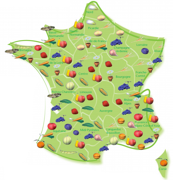 Carte de l'ANEFA