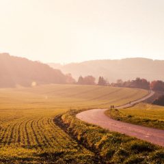 Qui d’autre veut atteindre l’indépendance financière ?