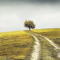 Pourquoi vous faites ce que vous faites? Quel est votre but?