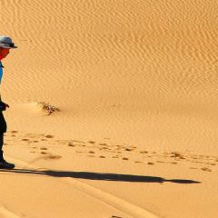 11 activités gratuites (ou presque) que vous pouvez faire le weekend.