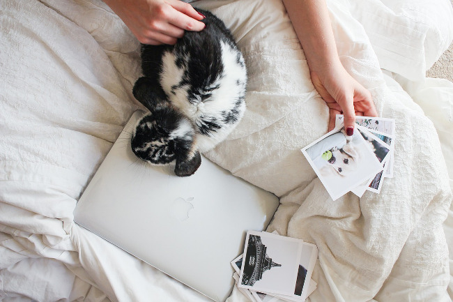 Travailler en Freelance sans tomber dans les distractions