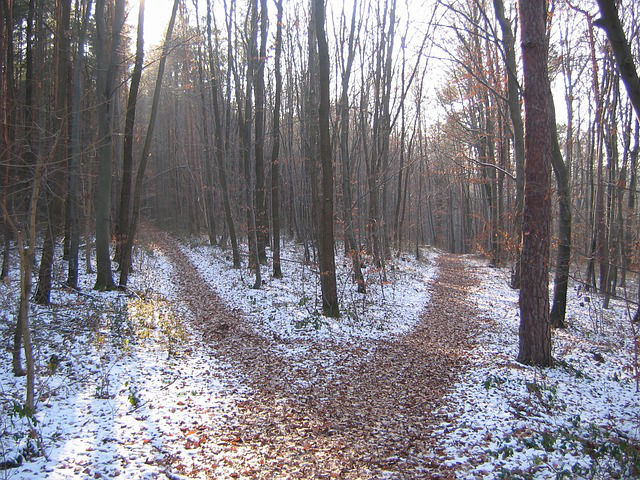croisée des chemins blogging