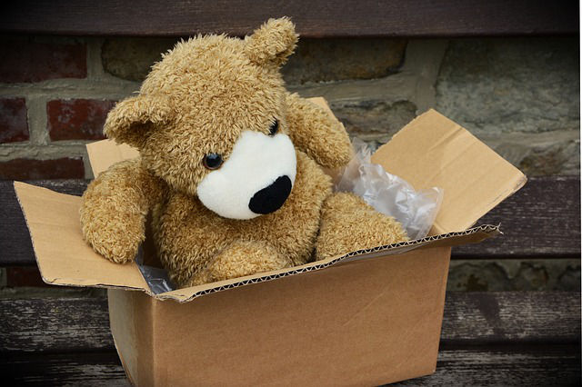 transport de colis entre particulier nounours