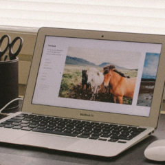 Travail à domicile : quels métiers choisir ?