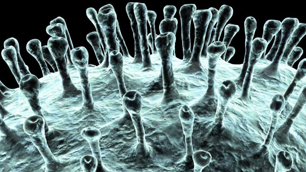 Coronavirus _ à qui profite la crise (1)