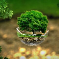 3 petits gestes bons pour l’environnement et pour votre porte-monnaie