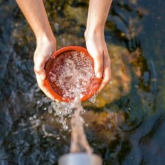 Comment faire des économies d’eau ?