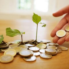 Quelles sont les meilleures manières de faire fructifier son argent en 2021 ?