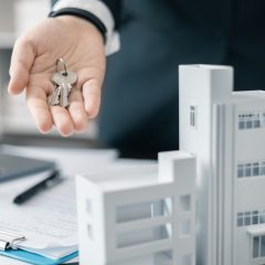 Immobilier locatif : faut-il investir dans une grande ville ou en province ?