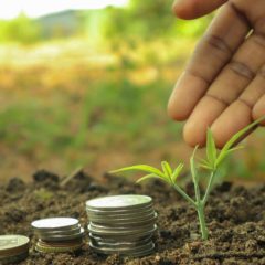 Pourquoi et comment investir dans les terres agricoles ?