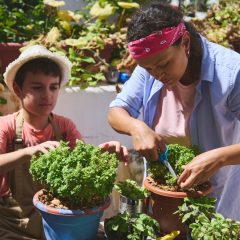Économiser de l’argent avec un potager : comment réduire votre budget alimentaire