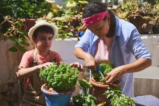 Économiser de l’argent avec un potager : comment réduire votre budget alimentaire