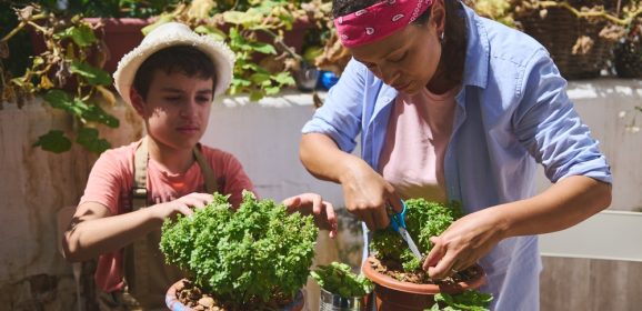 Économiser de l’argent avec un potager : comment réduire votre budget alimentaire
